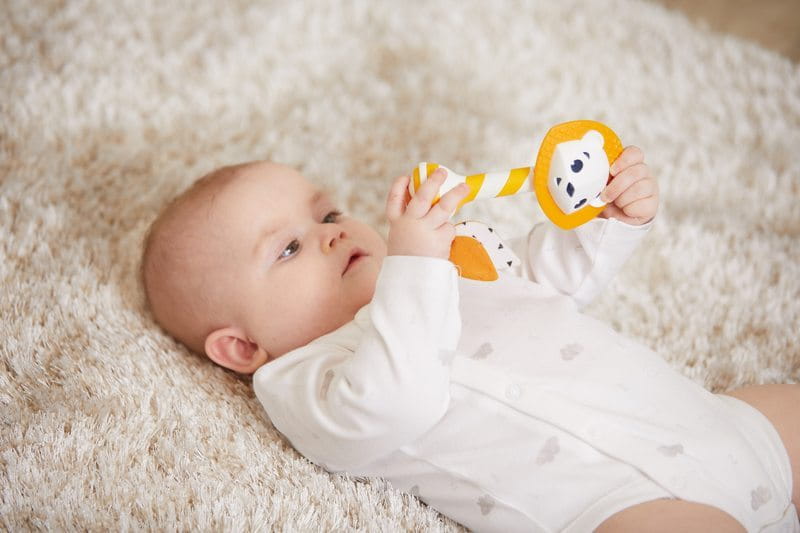 Leonardo The Lion Teether Rattle, Tiny Love