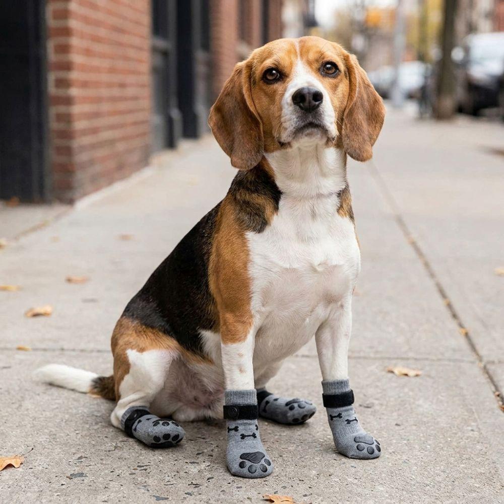 Schmutzabweisende rutschfeste Hundesocken Strapazierfähiger Pfotenschutz Gemütliche Hundepfotenabdeckungen Für den Außenbereich