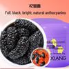 Qilixiang Premium Getrocknete Maulbeeren Geschenkset
