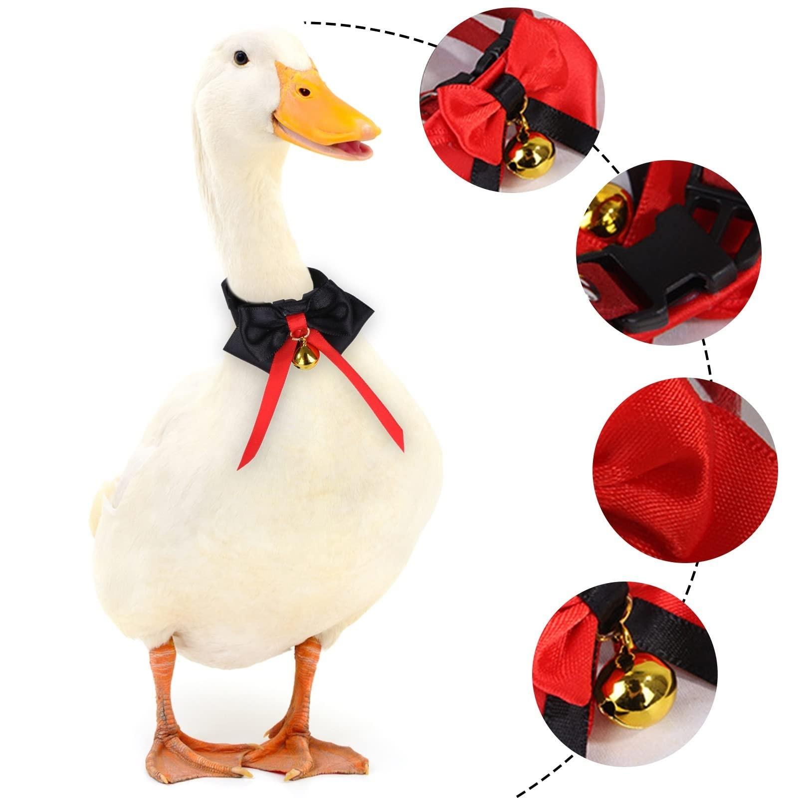 

Галстук-бабочка для домашних животных Галстук для домашних животных Смокинг для домашних животных Галстук-бабочка с курицей для домашних животных One Size чёрный