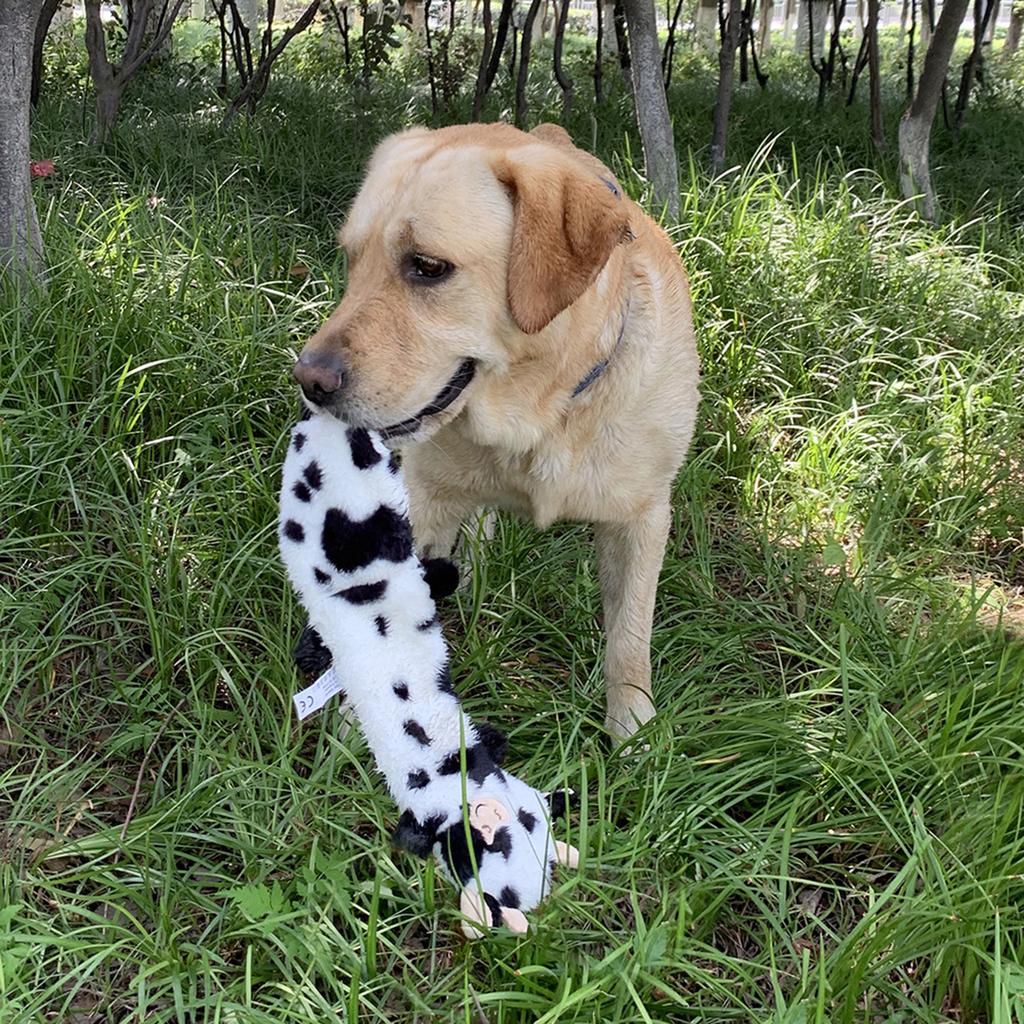 Dog Squeak Toy Puppy Toy Cute Unstuffed Chew Toy for Dog Teething Soft Pet Toy Plush Animal Cartoon Characters