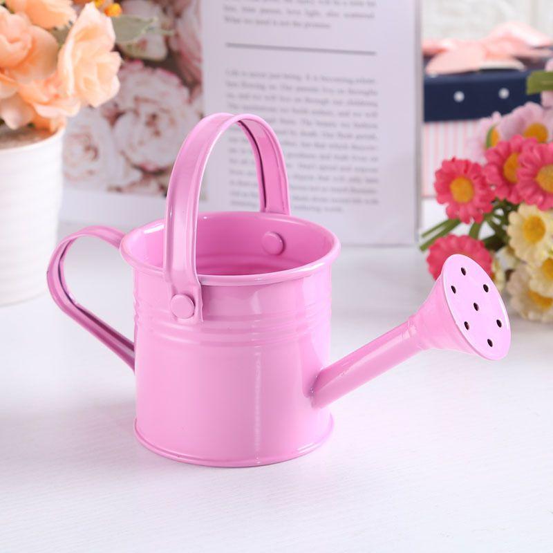 Flower Kettle Mini Water Spraying Metal Pot Watering Bottle Home Garden Decor