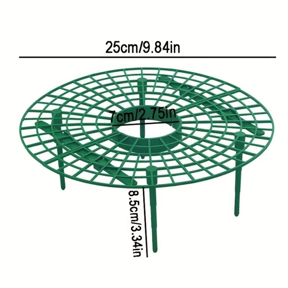 Avoid Ground Strawberry Planting Rack Keeping Plant Strawberry Planting Frame Vegetable Growing