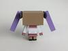 Lucky Star Tsukasa Kagami Danbo & Ver.