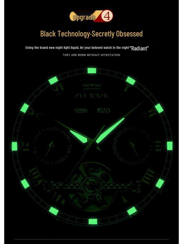 Oris Herren Multifunktions Automatische Mechanische Wasserdichte Skelettuhr