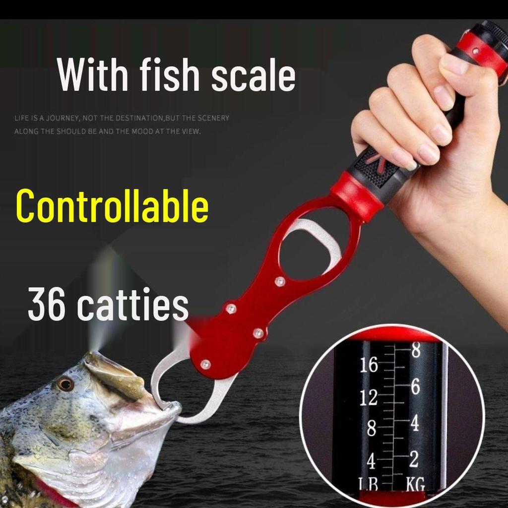 Fish Gripper Fishing Tool: Multi-functional Hook Remover Pliers with Scale for Large Fish.