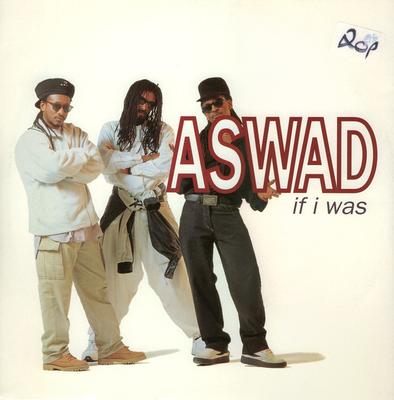 12-Zoll Schallplatte ASWAD - If I Was 12BUBB6 Bubblin' Record 1995 UK Dance & Electronica Gebraucht