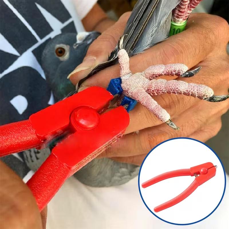 1 PZ 125MM Strumento Multifunzione per la Rimozione degli Anelli alle Zampe degli Uccelli Pinze Professionali per Aprire gli Anelli Elettronici alle Zampe di Piccioni Pappagalli Rosso