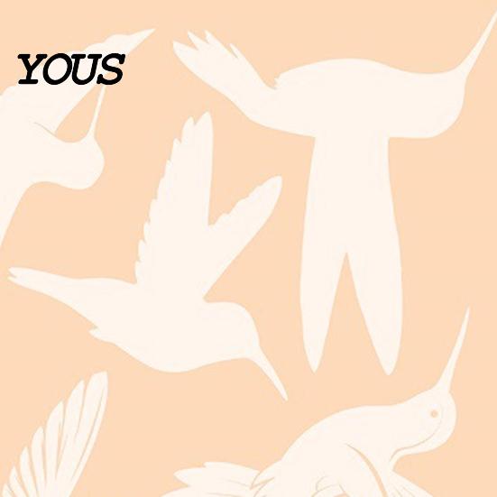 Vogel Silhouette Fensteraufkleber Weiße Kolibris Aufkleber für Anflüge, Kollisionsschutz Aufkleber, Anflug Kolibri Aufkleber Prävention
