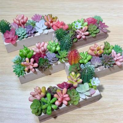 Random One Dollhouse Miniature Succulent Wooden Trough Green Plant Pot Model Micro Landscape Decor Ornaments Pretend Play Toys