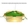 Children's Outdoor Insect Observation Set: Lighted Magnifier Box, Insect Net, Exploration Toy