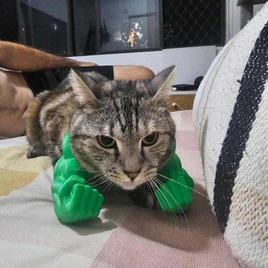 Cat Muscle Arm Costume 3D Printed Cat Neck Arm with Muscle Funny Cat Neck Hanging Decoration Halloween Birthday Party Supplies