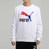 Puma Casual Sports Hoodie Men Tops White 599300-02