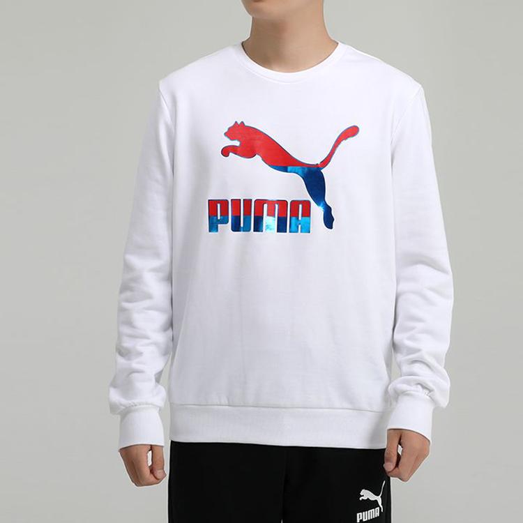 Puma Casual Sports Hoodie Men Tops White 599300-02