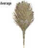 Heavy-Duty Wooden Handle Road Sweeping Broom