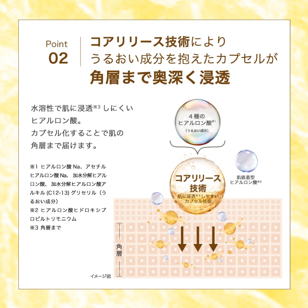 Hada Labo Gokujyun Perfect Gel Refill 80g
