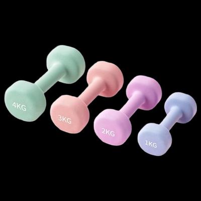 Echipamente de fitness – Gantere