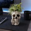 Small Fern Planting Pot Gothic Skull Planter with Middle Finger Design, Resin Skeleton Flower Creative Art Decor for Succulents, Funny Plant Ornament