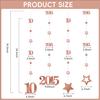 Pink Rose Gold 10th Birthday Decorations for Girls, Pre-Strung Glitter Twinkle Number 2015 10 Years Old Hanging Streamer Banner Party Supplies, Pink