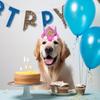 Dog Birthday Crown Hat Decoration Choice For Dog Birthday Party Crown Dog Birthday Party Decorations
