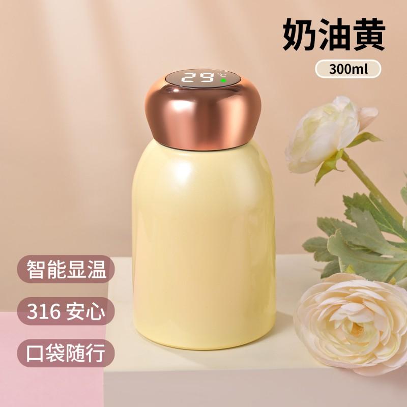 Stainless Steel Vacuum Insulated Travel Mug 300ml Portable Mini Cup Women Men Kids Office Outdoor