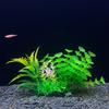 Fish Tank Landscapings Simulation Aquatic Plant Aquarium Decoration Plant Artificial Flowers Ornaments Pet Supplies