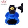 Yao Zi D341X Series Turbine Lined Butterfly Valve