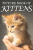 Książka Picture Book of Kittens : Picture Book of Kittens: For Seniors with Dementia [Cute Picture Books] : 2