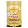 Medicated Plaster, 1 Plaster