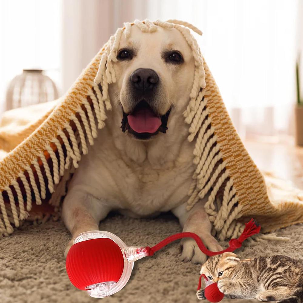1x Interactive Cat Toy Rolling Ball Fast Rolling on Carpet Toys for Cats or Dogs