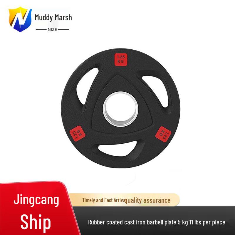 Nize Rubber-Coated Cast Iron Barbell Plate