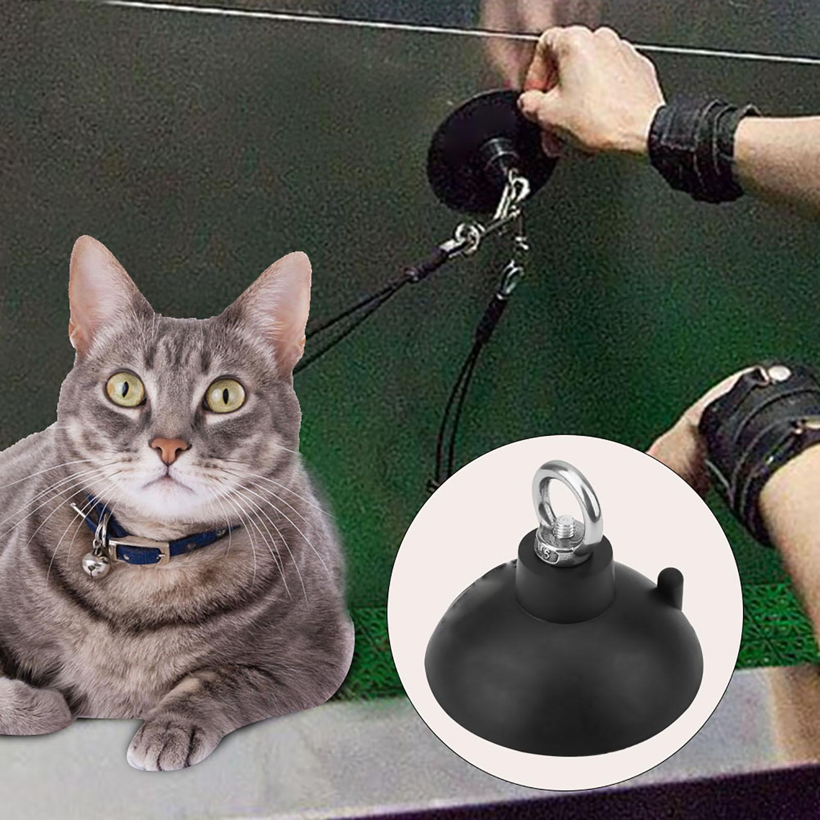 

Pet Grooming Bathing Suction Cup & Cable Choker Loop Noose Bath Restraint System