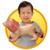 Ania Adventure Continent Ania Kingdom Air Figure Leonie (Lion)