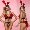 JSY Sexy Bunny Uniform Cosplay Lingerie Women Underwear Red Bra And Pants Set Erotic Lingerie Costumes Sexy Role Play Outfit