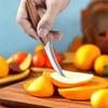 WXCOO 3pcs Stainless Steel Food Carving Knife Kitchen Fruit Peeling Utility Knife Professional Chefs Carving Knife Wood Handle