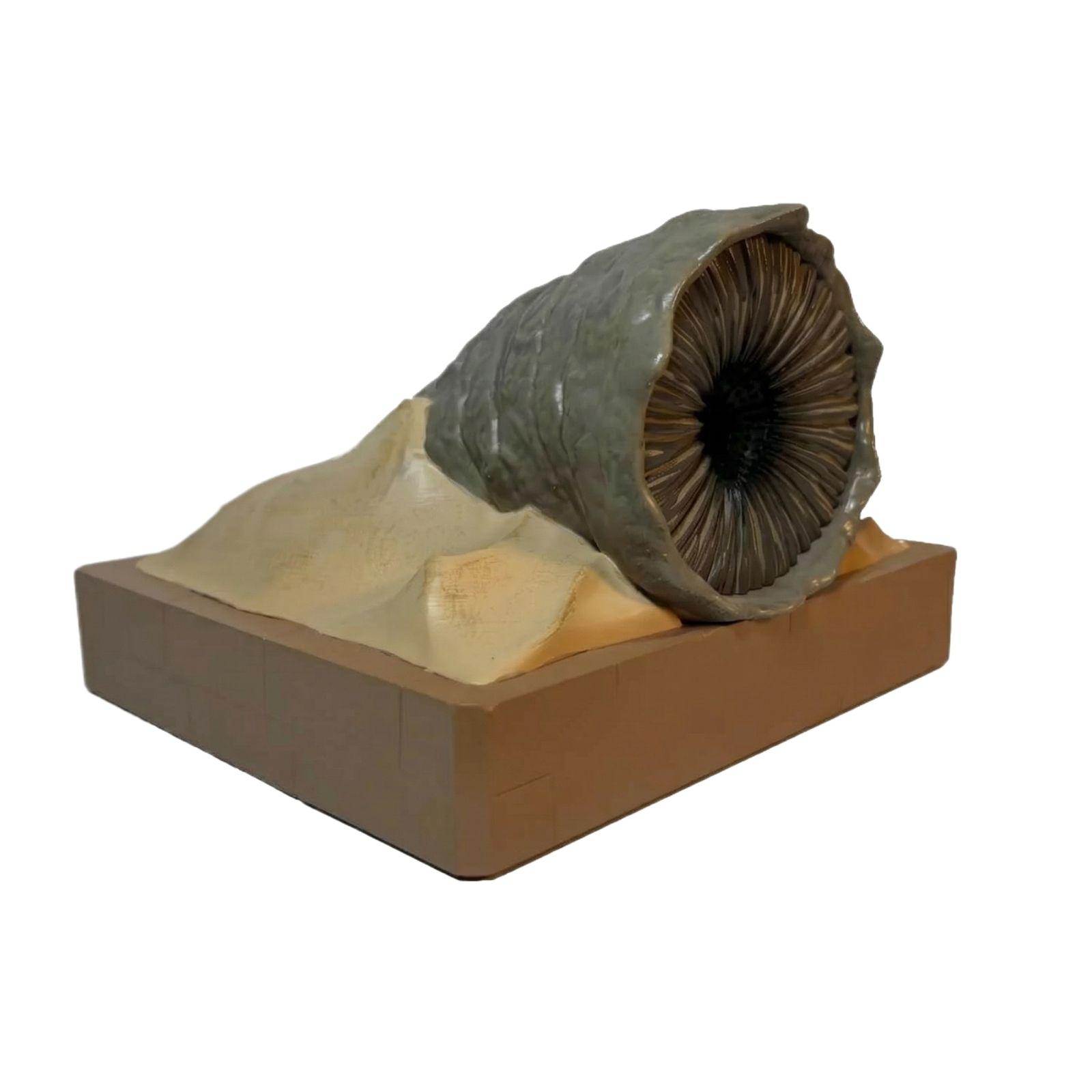 

Sandworm Model Replica with Detailed Textured Surface and Base Display Stand Suitable for Educational and Collectible Purposes One Size