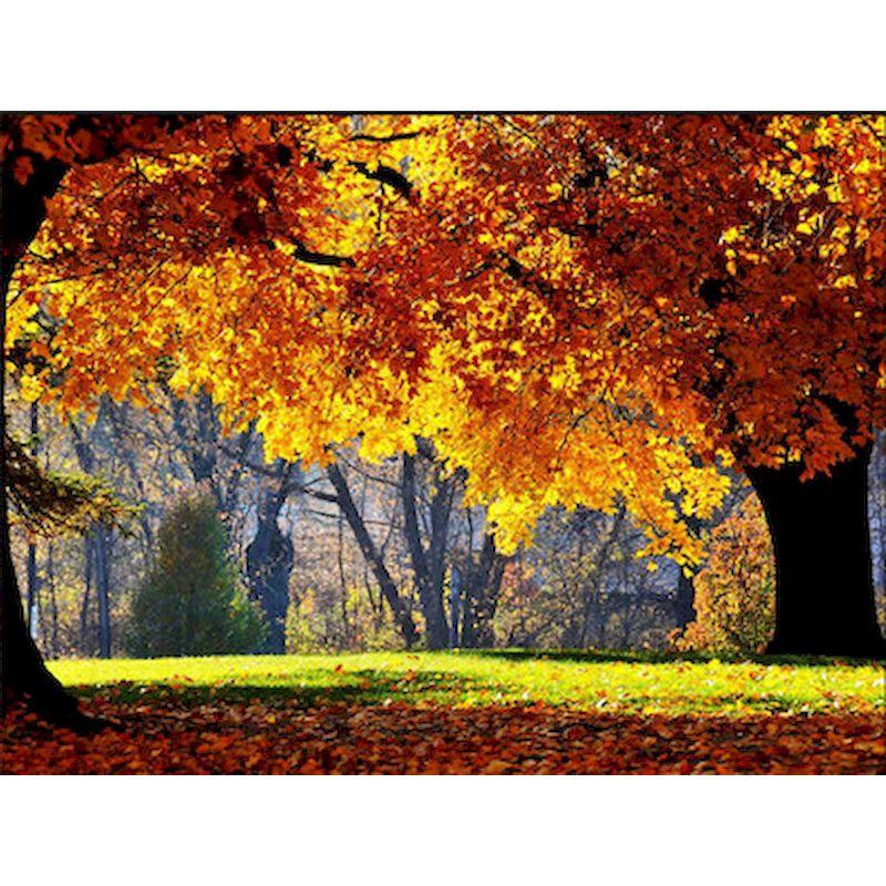 

Полная дрель круглая алмазная живопись пейзажная мозаика 5D Алмазная вышивка животные горный хрусталь домашний декор Full Round 20x30CM