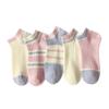Women's Candy Color Double Needle Cotton Socks – Summer Non-Slip, Breathable, Sweat-Absorbent, Low-Cut Korean Style.