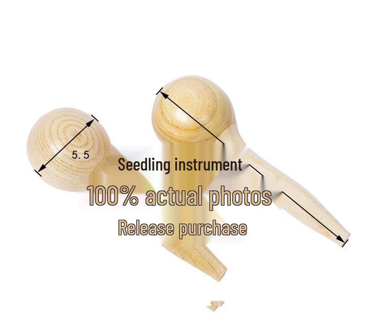Kindergarten Percussion: Raw Wood Egg Shakers - Children's Musical Rattle Instruments