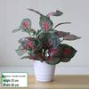 Potted Artificial Pothos Leaves & Flowers – Indoor/Outdoor Decorative Floor-Standing Bonsai.