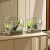 Compact Desktop Ecosystem Tank: Round Bottom, Ideal for Living Room or Study, Includes Decorative Micro Landscape and Small Fish Aquarium.