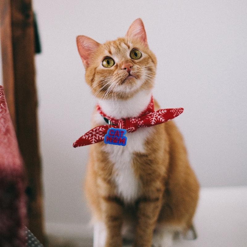 Silicone Glue Mold Set Dog Love Tag Molds for Epoxy Resin Pets Tag Molds for DIY Crafts Making or Homemade Crafts