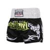 Muay Thai UFC Sanda Summer Training Boxing Shorts - MMA Fight Gear