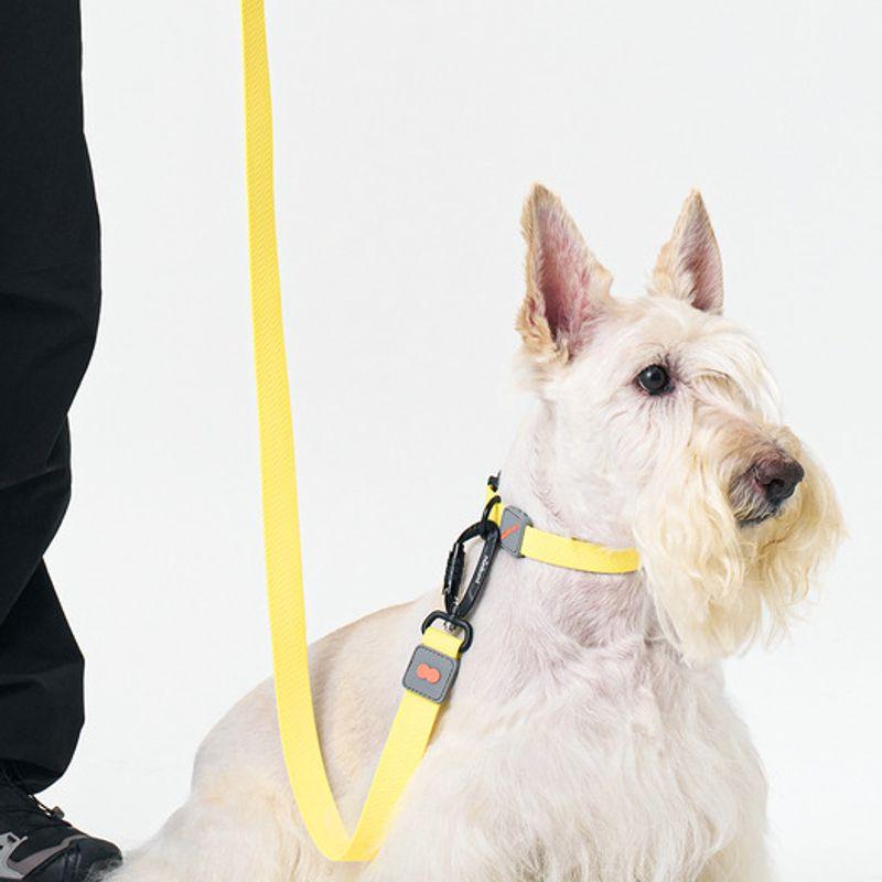MUNIKUND Water-Block Leash Yellow