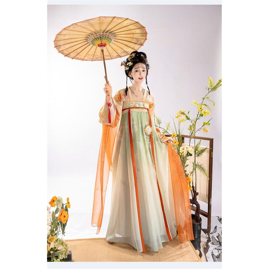 Dames Tang Dynastie Hanfu Jurk, Oude Chinese Traditionele Gewaad, Wapperend Feeën Cosplay Kostuum Voor Fotoshoot Feest