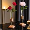 Plant Propagation Station Wooden Stand with Glass Test Tube Vase