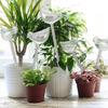 Automatic Watering Device Bird Shape Plant Waterer Watering Device Houseplant Watering Spikes Automatic Drippers
