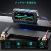 RoyPow LiFePO4 Trickle LED Activation Reverse Short and Overcurrent Protection Charger, 14.4V/1A, 7.2V/1A, Charge, Light, Polarity, Circuit,