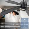 Deckenventilator - NETTLIFE - 125 cm - LED 23W - Dimmbar & Schalldämpfer - Fernbedienung