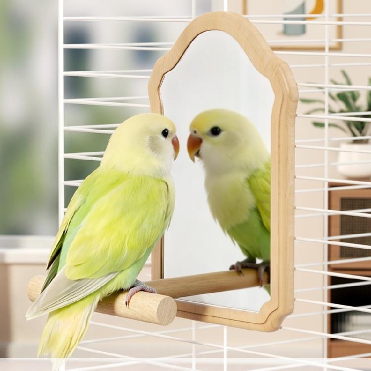 Interaction Mirror Perch Standing For Parrots Natural Wood Bird Rest Place for Pet Bird Entertainment Cage Accessories
